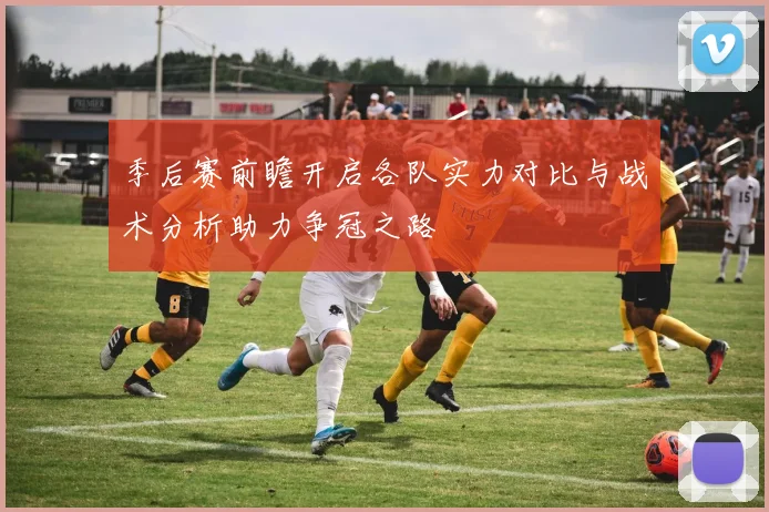 季后赛前瞻开启各队实力对比与战术分析助力争冠之路